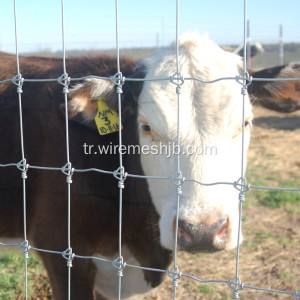 Sığır Çit-Sıcak Daldırma Galvanizli Kraal Ağı